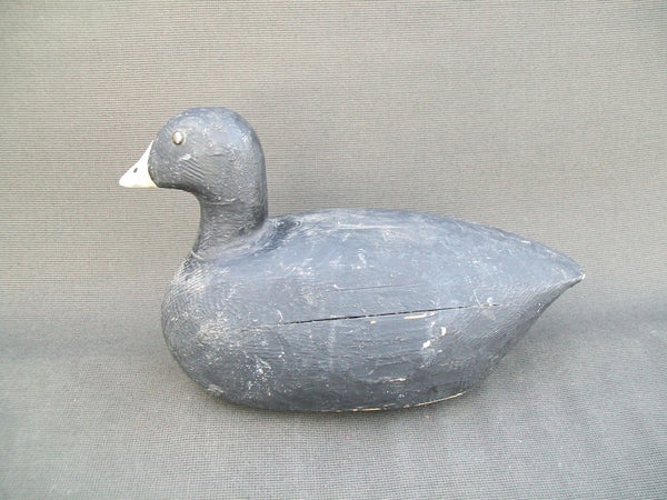 Charles Brisky Mud Hen (Coot), Circa 1930's (#3042)