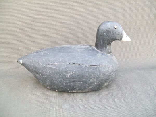Charles Brisky Mud Hen (Coot), Circa 1930's (#3042)