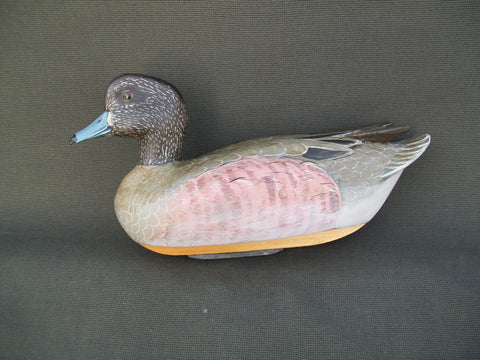 Widgeon Hen, raised wings, weighted keel- Woodson Roddy, Clinton, MO
