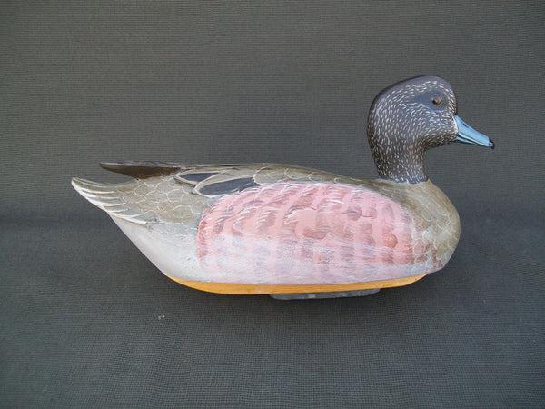 Widgeon Hen, raised wings, weighted keel- Woodson Roddy, Clinton, MO