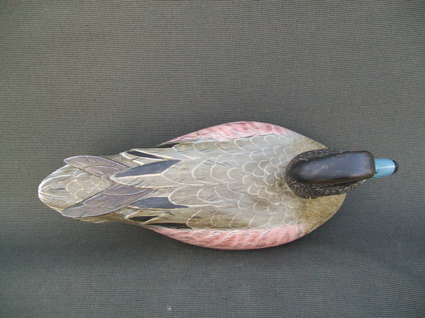 Widgeon Hen, raised wings, weighted keel- Woodson Roddy, Clinton, MO
