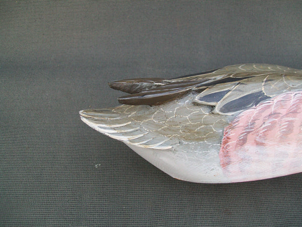 Widgeon Hen, raised wings, weighted keel- Woodson Roddy, Clinton, MO