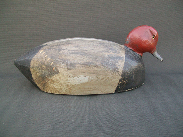 Michigan Redhead, drinking position Circa 1930's  (#3072)