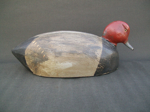 Michigan Redhead, drinking position Circa 1930's  (#3072)