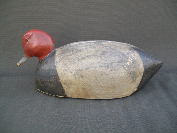 Michigan Redhead, drinking position Circa 1930's  (#3072)