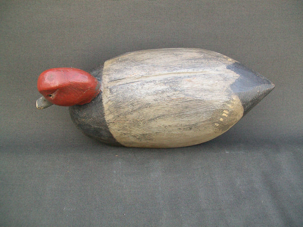 Michigan Redhead, drinking position Circa 1930's  (#3072)