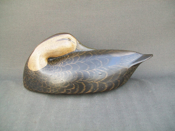 Mike Borrett Sleeper Black duck  (#3078)