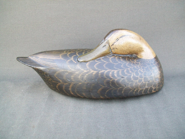 Mike Borrett Sleeper Black duck  (#3078)