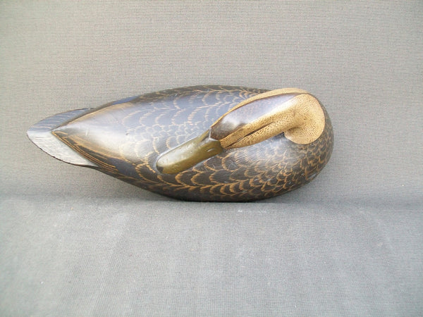 Mike Borrett Sleeper Black duck  (#3078)