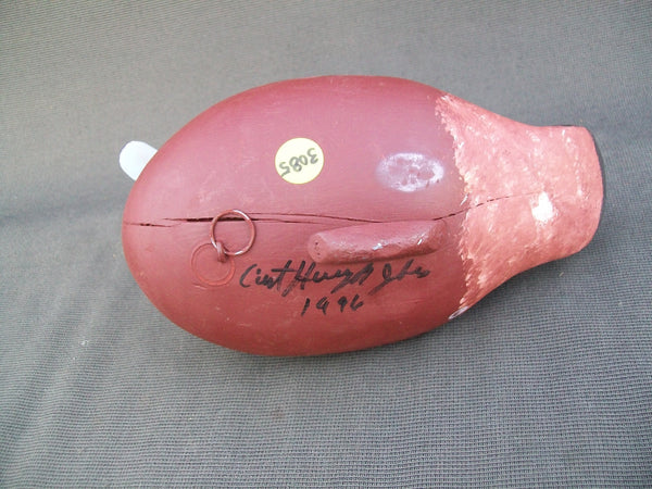 Harry Jobes Ruddy Duck