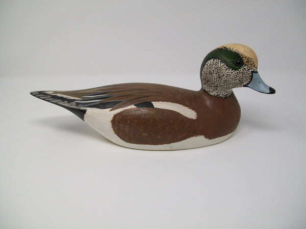 Torry Ward Widgeon, Manitoba Canada   (#3101)