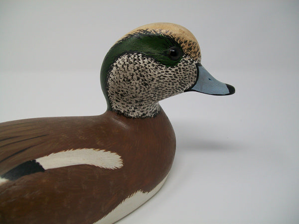 Torry Ward Widgeon, Manitoba Canada   (#3101)