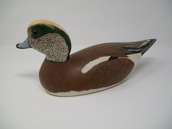 Torry Ward Widgeon, Manitoba Canada   (#3101)