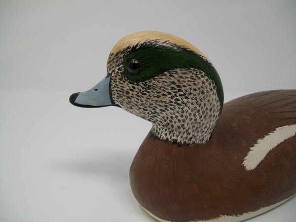 Torry Ward Widgeon, Manitoba Canada   (#3101)