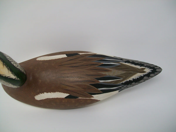 Torry Ward Widgeon, Manitoba Canada   (#3101)