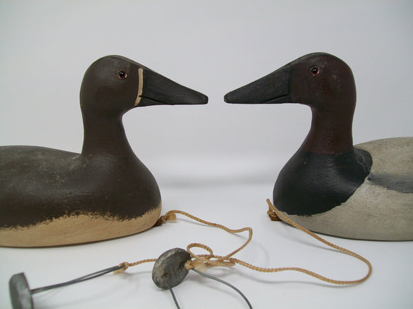 Ron Koch Pair of 1/4 size Canvasbacks  (#3107)