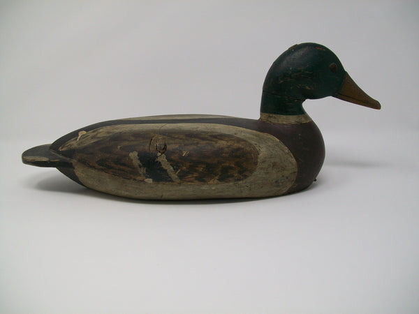Charles Walker Early Mallard Drake- Original Paint Circa 1910-20's  (#3129)