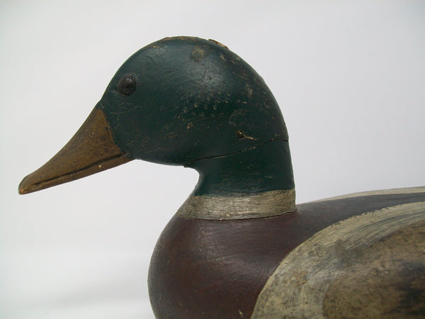 Charles Walker Early Mallard Drake- Original Paint Circa 1910-20's  (#3129)