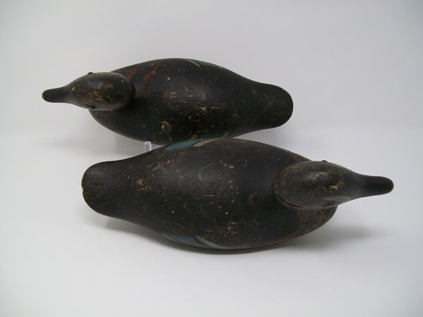 Mason Detroit Grade Blue Wing Teal Pair- Original Paint, Circa 1910  (#3152)