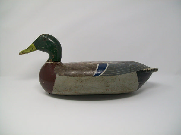Tube Dawson Mallard Drake - Hageman overpaint - Circa 1920's