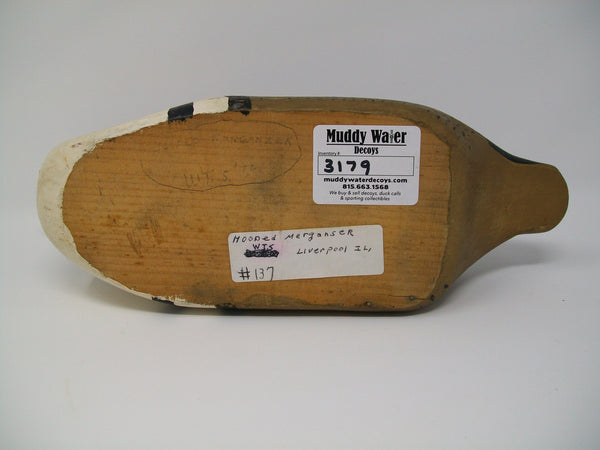 Hooded Merganser, Liverpool Illinois   (#3179)