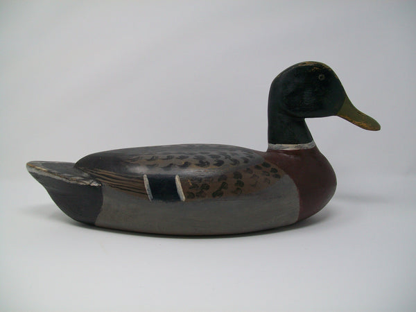 Illinois River Mallard Drake, Circa 1930's  (#3192)