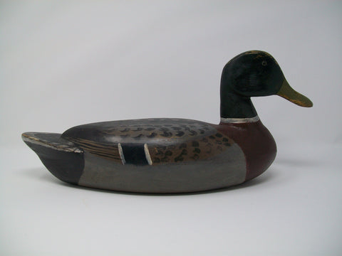 Illinois River Mallard Drake, Circa 1930's  (#3192)