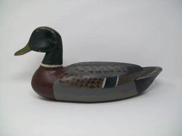 Illinois River Mallard Drake, Circa 1930's  (#3192)