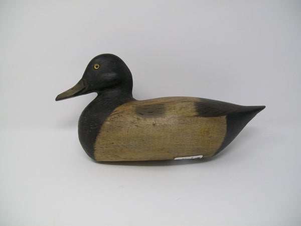 Perdew Style Blue Bill Drake by Tony Zullo (#3211)