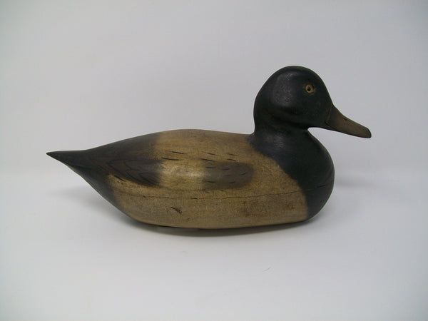 Perdew Style Blue Bill Drake by Tony Zullo (#3211)