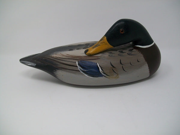 Illinois River Mallard Drake Sleeper   (#3218)