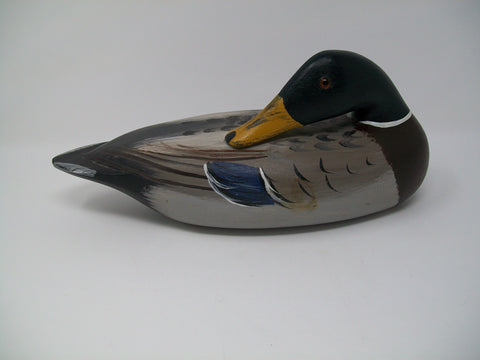 Illinois River Mallard Drake Sleeper   (#3218)