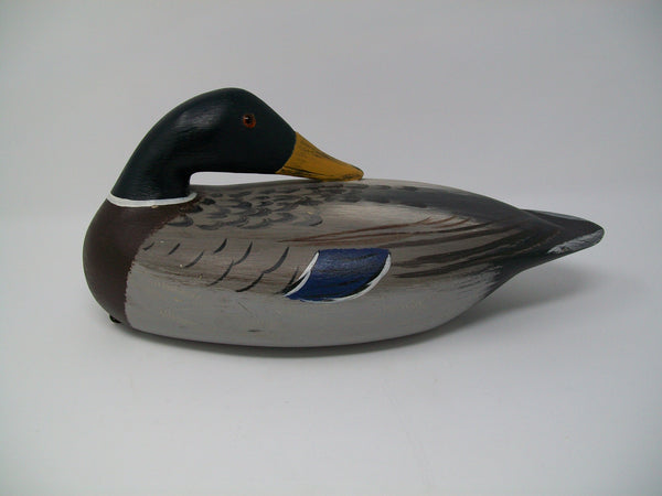 Illinois River Mallard Drake Sleeper   (#3218)