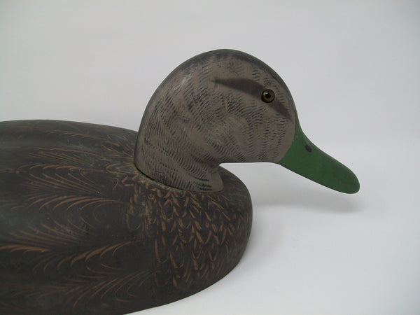 Decoys Unlimited Black Duck, Erie, PA  (#3221)