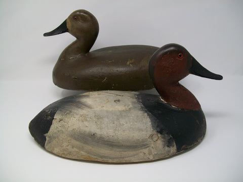 Sidy Dahlka Canvasback Pair, Circa 1930's  (#3225)