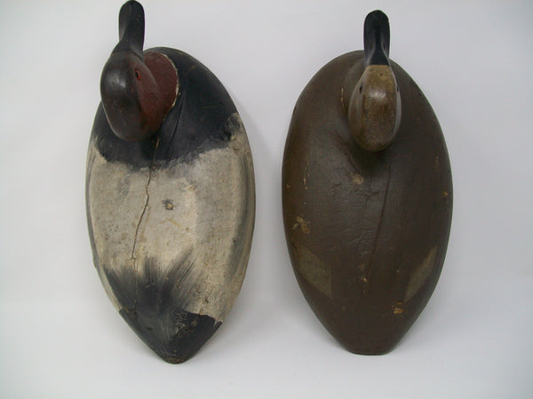 Sidy Dahlka Canvasback Pair, Circa 1930's  (#3225)