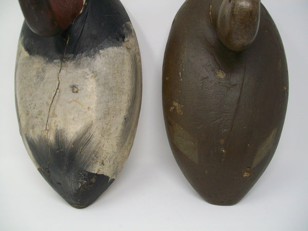 Sidy Dahlka Canvasback Pair, Circa 1930's  (#3225)