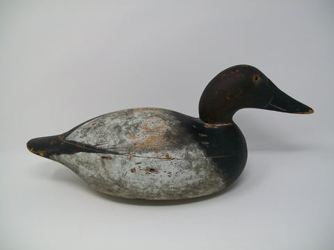 Mason Premier Canvasback Drake Original Paint, Circa 1910's     (#3248)