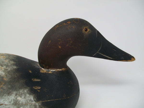 Mason Premier Canvasback Drake Original Paint, Circa 1910's     (#3248)