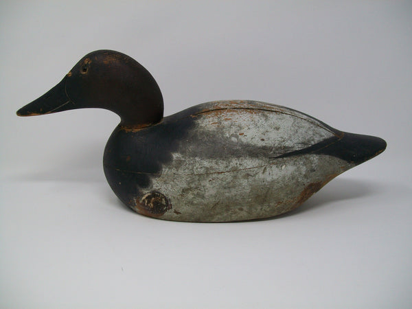 Mason Premier Canvasback Drake Original Paint, Circa 1910's     (#3248)