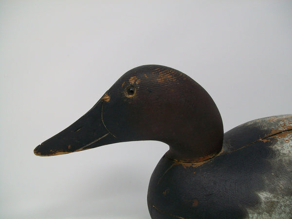 Mason Premier Canvasback Drake Original Paint, Circa 1910's     (#3248)