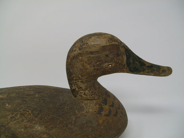 Lacon Area Mallard Hen- Dry Original Paint, Circa 1920's    (#3270)