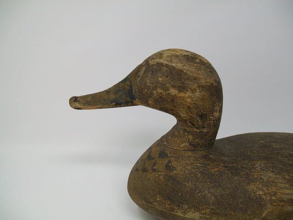 Lacon Area Mallard Hen- Dry Original Paint, Circa 1920's    (#3270)