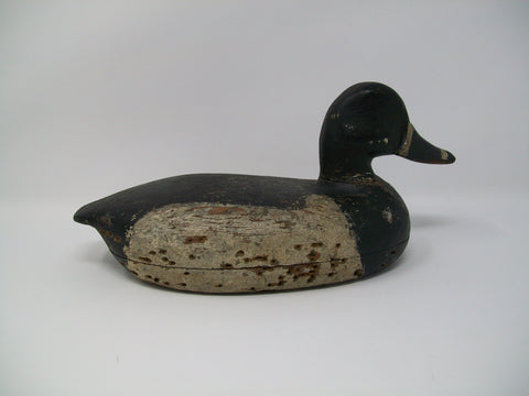 Perry Wilcoxen Ringneck Drake Mostly Original Paint (#3286)