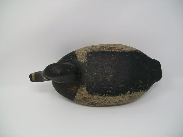 Perry Wilcoxen Ringneck Drake Mostly Original Paint (#3286)