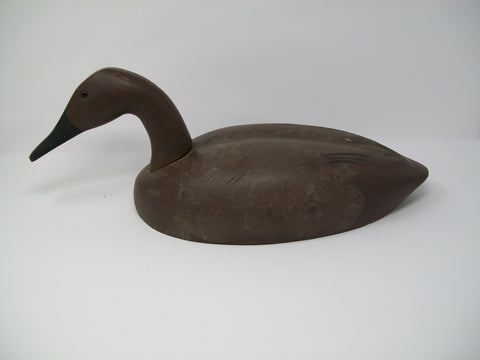 Decoys Unlimited Canvasback Hen  (#3317)