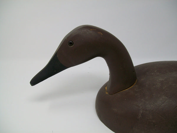 Decoys Unlimited Canvasback Hen  (#3317)