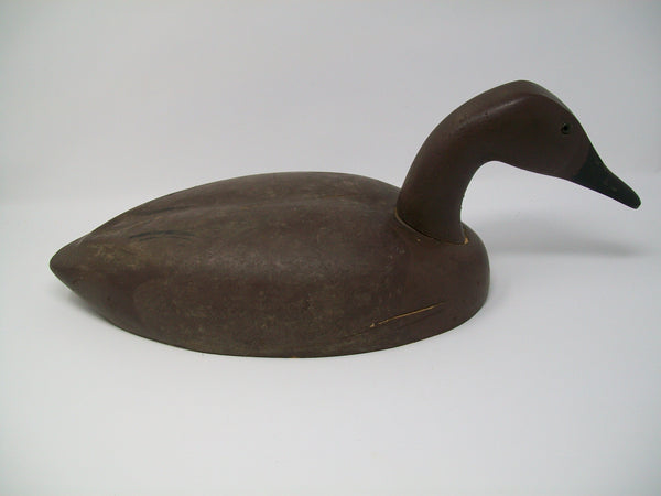 Decoys Unlimited Canvasback Hen  (#3317)