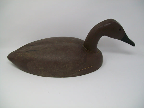 Decoys Unlimited Canvasback Hen  (#3317)