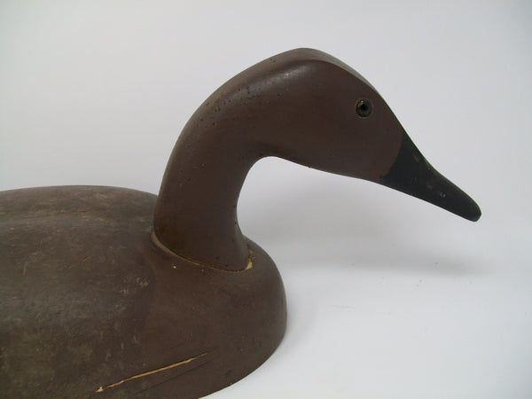 Decoys Unlimited Canvasback Hen  (#3317)